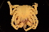  (Epialtinae - ZSMA20111377)  @15 [ ] Copyright (2011) Roland Meyer Unspecified