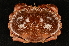  ( - ZSMA20111412)  @14 [ ] Copyright (2011) Roland Meyer Unspecified
