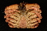  ( - ZSMA20111412)  @14 [ ] Copyright (2011) Roland Meyer Unspecified