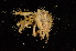  ( - ZSMA20111425)  @13 [ ] Copyright (2011) Roland Meyer Unspecified