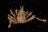  ( - ZSMA20111426)  @13 [ ] Copyright (2011) Roland Meyer Unspecified