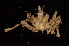  ( - ZSMA20111426)  @13 [ ] Copyright (2011) Roland Meyer Unspecified