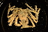  ( - ZSMA20111427)  @13 [ ] Copyright (2011) Roland Meyer Unspecified