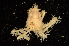  ( - ZSMA20111428)  @13 [ ] Copyright (2011) Roland Meyer Unspecified