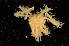  ( - ZSMA20111428)  @13 [ ] Copyright (2011) Roland Meyer Unspecified