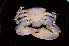  ( - ZSMA20111462)  @13 [ ] Copyright (2011) Roland Meyer Unspecified