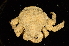  ( - ZSMA20111493)  @13 [ ] Copyright (2011) Roland Meyer Unspecified