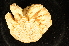  ( - ZSMA20111494)  @13 [ ] Copyright (2011) Roland Meyer Unspecified