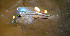  ( - INIDEP_GBMM_13)  @11 [ ] Unspecified (default): All Rights Reserved  Unspecified INIDEP