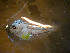  ( - INIDEP_GBMM_14)  @11 [ ] Unspecified (default): All Rights Reserved  Unspecified INIDEP