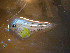  ( - INIDEP_GBMM_15)  @11 [ ] Unspecified (default): All Rights Reserved  Unspecified INIDEP