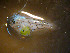  ( - INIDEP_GBMM_17)  @11 [ ] Unspecified (default): All Rights Reserved  Unspecified INIDEP