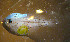  ( - INIDEP_GBMM_18)  @11 [ ] Unspecified (default): All Rights Reserved  Unspecified INIDEP