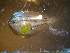  ( - INIDEP_GBMM_19)  @11 [ ] Unspecified (default): All Rights Reserved  Unspecified INIDEP