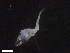  ( - INIDEP_GBMM_77)  @11 [ ] Unspecified (default): All Rights Reserved  Unspecified INIDEP
