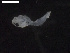  ( - INIDEP_GBMM_78)  @11 [ ] Unspecified (default): All Rights Reserved  Unspecified INIDEP