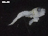  ( - INIDEP_GBMM_79)  @11 [ ] Unspecified (default): All Rights Reserved  Unspecified INIDEP