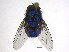  ( - SCFBI085)  @11 [ ] CreativeCommons - Attribution Share-Alike (2016) Eduardo Amat INPA