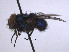  ( - SCFBI090)  @11 [ ] CreativeCommons - Attribution Share-Alike (2016) Eduardo Amat INPA