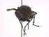  ( - SCFBI097)  @11 [ ] CreativeCommons - Attribution Share-Alike (2016) Eduardo Amat INPA