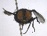  ( - SCFBI106)  @11 [ ] CreativeCommons - Attribution Share-Alike (2016) Eduardo Amat INPA