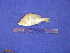  ( - SA8JZ028)  @13 [ ] Unspecified (default): All Rights Reserved  Unspecified Unspecified