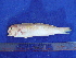  ( - SA8JZ084)  @13 [ ] Unspecified (default): All Rights Reserved  Unspecified Unspecified