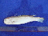  ( - SA8JZ085)  @13 [ ] Unspecified (default): All Rights Reserved  Unspecified Unspecified