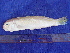  ( - SA8JZ087)  @13 [ ] Unspecified (default): All Rights Reserved  Unspecified Unspecified