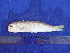  ( - SA8JZ089)  @13 [ ] Unspecified (default): All Rights Reserved  Unspecified Unspecified