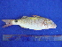  ( - SA8JZ102)  @12 [ ] Unspecified (default): All Rights Reserved  Unspecified Unspecified