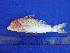  ( - SA8JZ103)  @12 [ ] Unspecified (default): All Rights Reserved  Unspecified Unspecified