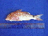  ( - SA8JZ104)  @13 [ ] Unspecified (default): All Rights Reserved  Unspecified Unspecified