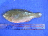  ( - SA8JZ110)  @11 [ ] Unspecified (default): All Rights Reserved  Unspecified Unspecified