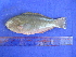  ( - SA8JZ111)  @11 [ ] Unspecified (default): All Rights Reserved  Unspecified Unspecified