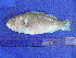  ( - SA8JZ117)  @11 [ ] Unspecified (default): All Rights Reserved  Unspecified Unspecified