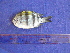  ( - SA8JZ123)  @11 [ ] Unspecified (default): All Rights Reserved  Unspecified Unspecified