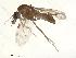  ( - CFIALET2016-COLAK-F002)  @11 [ ] CreativeCommons - Attribution Share-Alike (2019) University of Guelph, Hanner Laboratory My Institution