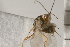 ( - CGTURK-0104)  @11 [ ] CreativeCommons - Attribution (2008) Unspecified Centre for Biodiversity Genomics