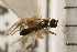  ( - CGTURK-0127.FAIL1)  @11 [ ] CreativeCommons - Attribution (2008) Unspecified Centre for Biodiversity Genomics