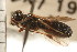  ( - CGTURK-0213)  @11 [ ] CreativeCommons - Attribution (2008) Unspecified Centre for Biodiversity Genomics