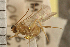  ( - CGTURK-0221)  @11 [ ] CreativeCommons - Attribution (2008) Unspecified Centre for Biodiversity Genomics