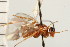  ( - CGTURK-0316)  @12 [ ] CreativeCommons - Attribution (2008) Unspecified Centre for Biodiversity Genomics
