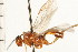  ( - CGTURK-0318)  @11 [ ] CreativeCommons - Attribution (2008) Unspecified Centre for Biodiversity Genomics