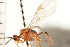  ( - CGTURK-0319)  @11 [ ] CreativeCommons - Attribution (2008) Unspecified Centre for Biodiversity Genomics