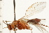  ( - CGTURK-0322)  @12 [ ] CreativeCommons - Attribution (2008) Unspecified Centre for Biodiversity Genomics