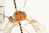  ( - CGTURK-0323)  @11 [ ] CreativeCommons - Attribution (2008) Unspecified Centre for Biodiversity Genomics