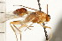  ( - CGTURK-0324)  @11 [ ] CreativeCommons - Attribution (2008) Unspecified Centre for Biodiversity Genomics