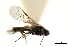  ( - CGTURK-0683)  @12 [ ] CreativeCommons - Attribution (2009) Unspecified Centre for Biodiversity Genomics