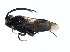  ( - CGTURK-0774)  @12 [ ] Unspecified (default): All Rights Reserved  Unspecified Unspecified